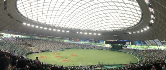 seibudome