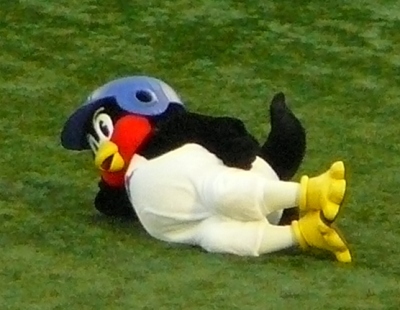 oyasumi
